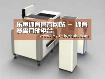 产品名称十五