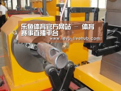 产品名称十四