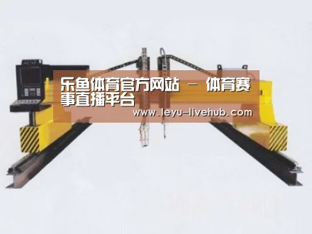 产品名称十七