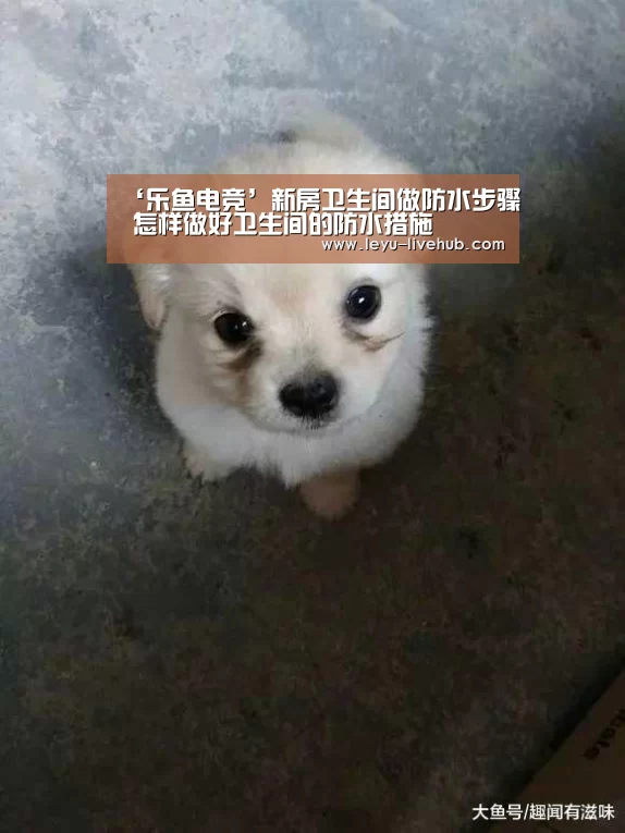 ‘乐鱼电竞’新房卫生间做防水步骤 怎样做好卫生间的防水措施(图2) 乐鱼登录入口