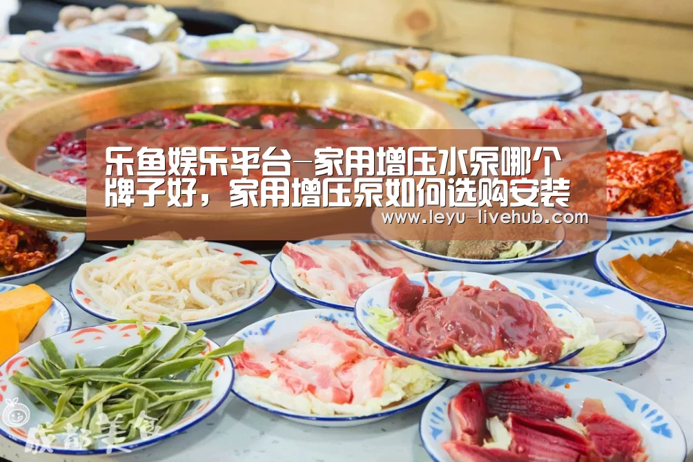 乐鱼娱乐平台-家用增压水泵哪个牌子好，家