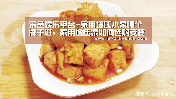 乐鱼娱乐平台-家用增压水泵哪个牌子好,家用增压泵如何选购安装使用(图4) 乐鱼登录入口