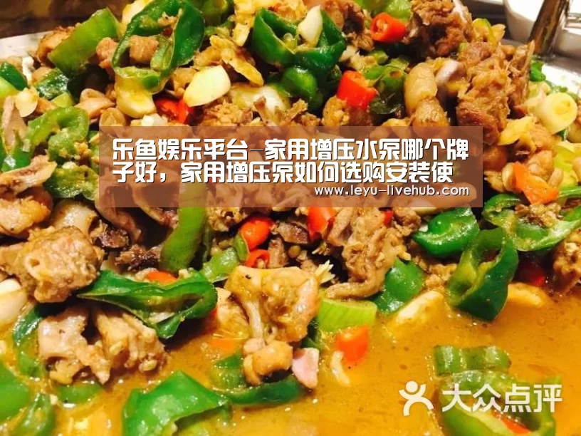 乐鱼娱乐平台-家用增压水泵哪个牌子好,家用增压泵如何选购安装使用(图2) 乐鱼登录入口