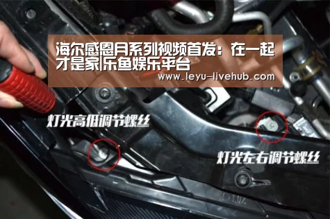 海尔感恩月系列视频首发：在一起才是家|乐