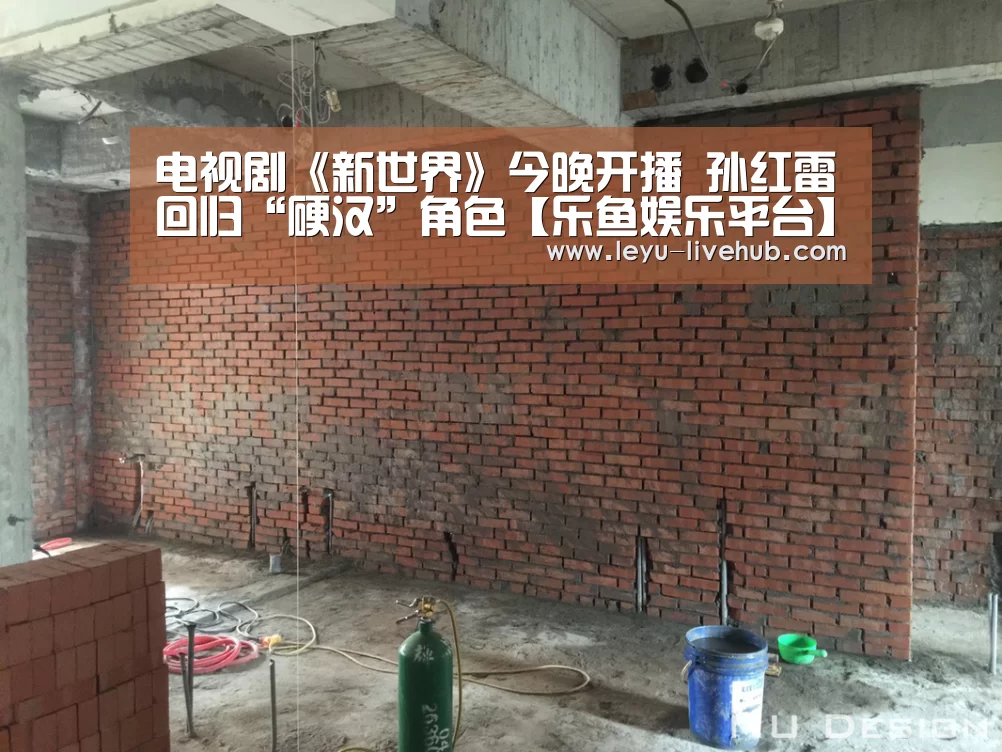 电视剧《新世界》今晚开播 孙红雷回归“硬汉”角色【乐鱼娱乐平台】(图2) 乐鱼娱乐平台